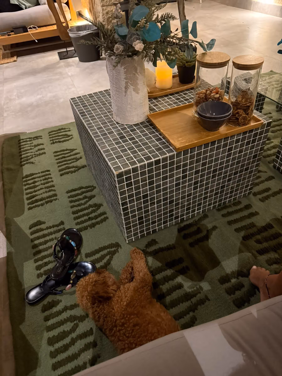 Bark Flatwoven Rug shown in an editorial setting